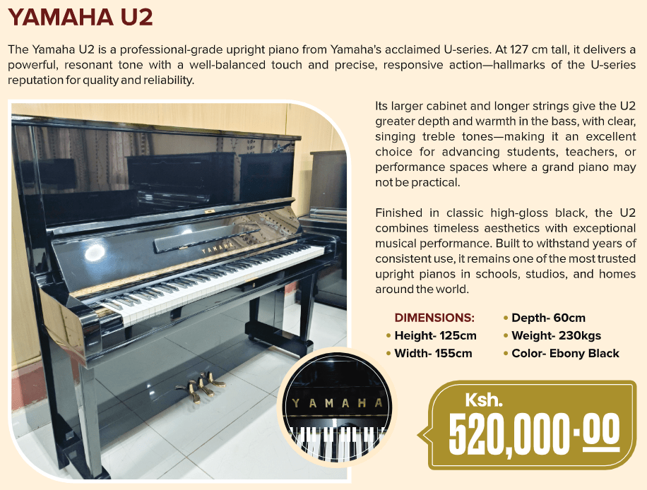 yamaha-u2-image