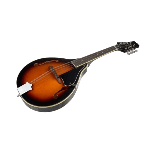 mandolin-image1